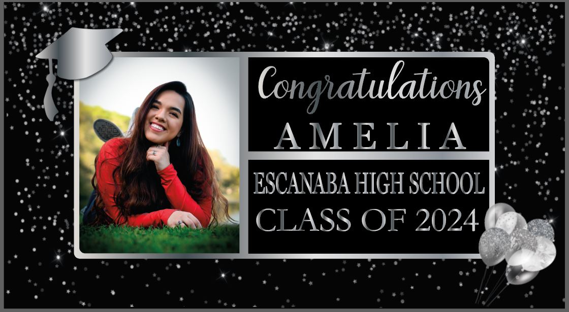 Custom Graduation Banner, Class of 2024 with Senior Photo, Backdrop or Display or Party Decor