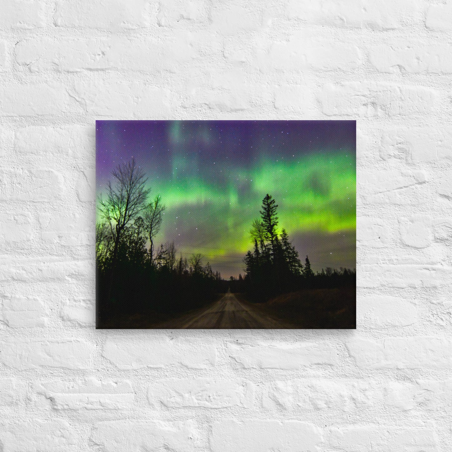 Northern Lights Canvas Print - Rustic Road & Pine Tree Silhouettes, Upper Peninsula Night Sky Art
