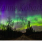 Northern Lights Canvas Print - Rustic Road & Pine Tree Silhouettes, Upper Peninsula Night Sky Art