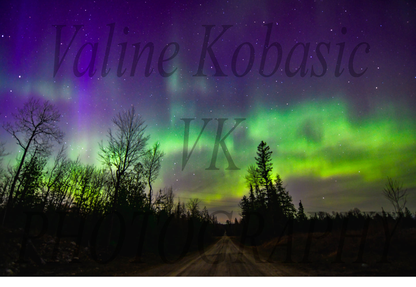Northern Lights Canvas Print - Rustic Road & Pine Tree Silhouettes, Upper Peninsula Night Sky Art