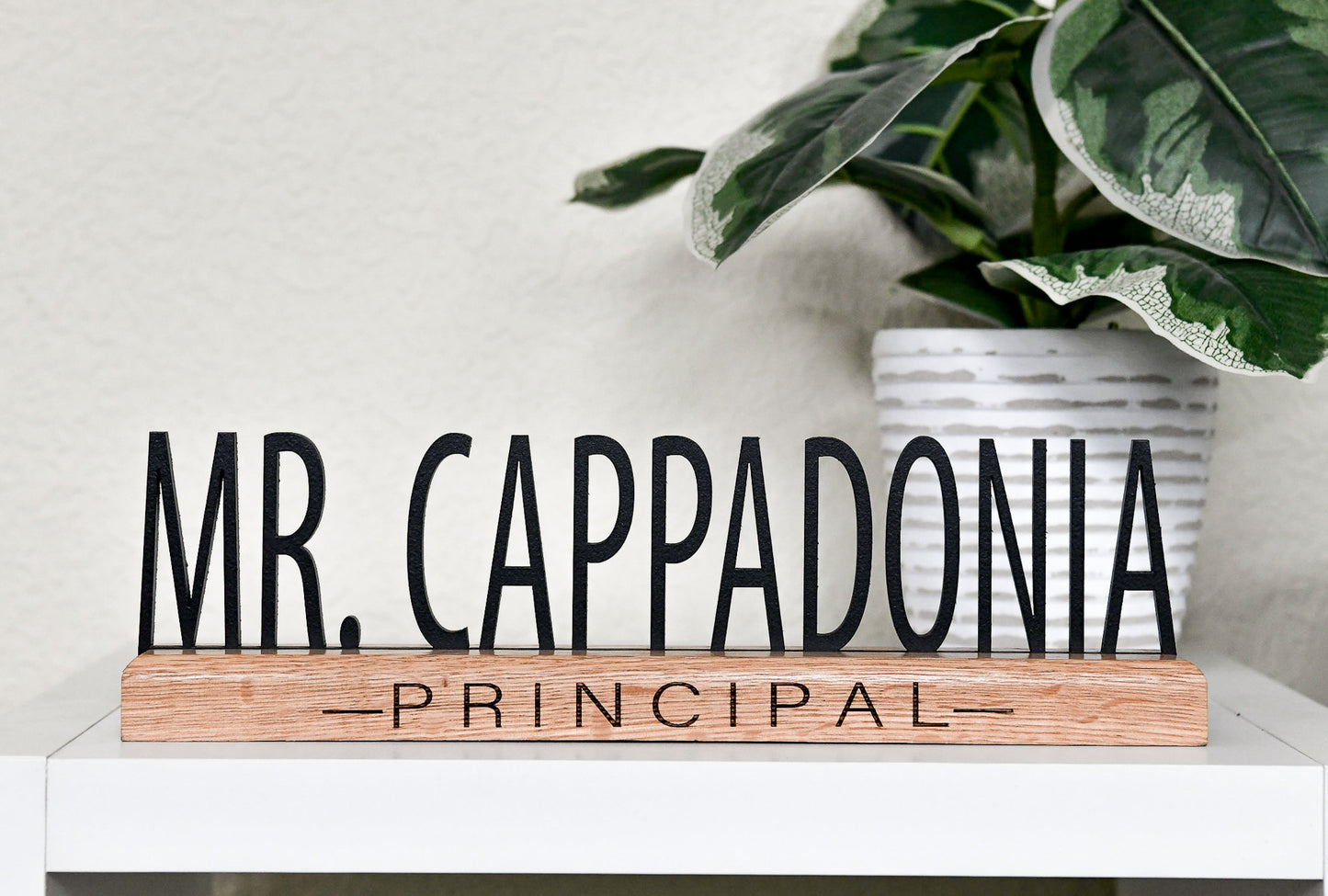 Desk Name Plate for Teacher, Principal, Doctor, Assistant, Custom Company Office Gifts, Personalized Sign for classroom or office personnel