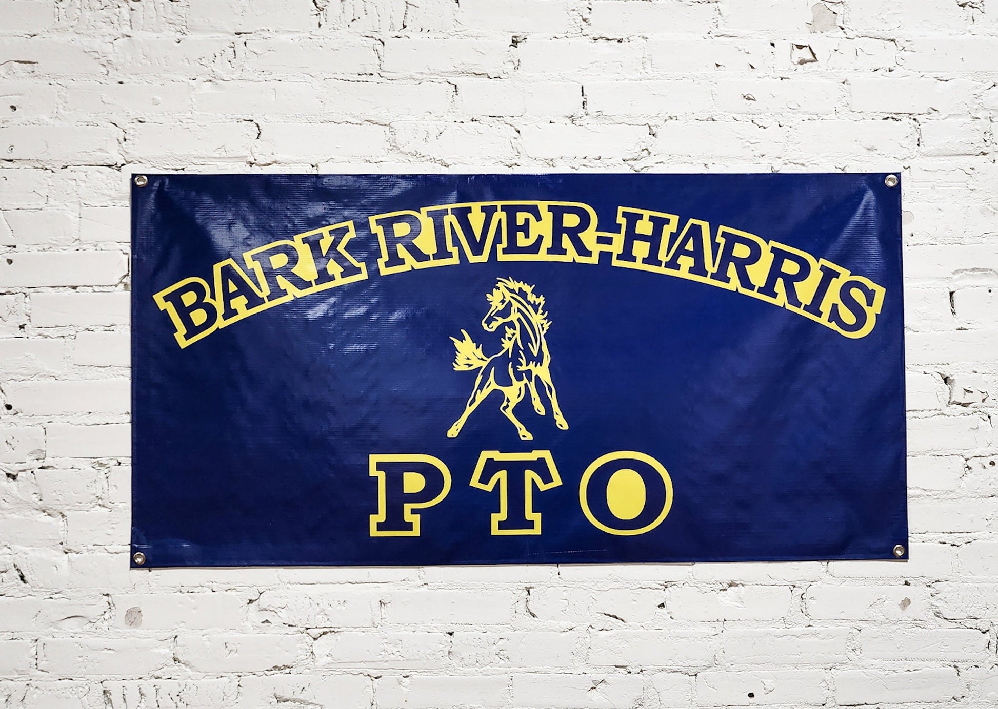 School Banner for PTO, sports events, dances, Or Personalized Custom Text, Logo, Political Campaigns, Ads, Full Color Indoor Outdoor Print
