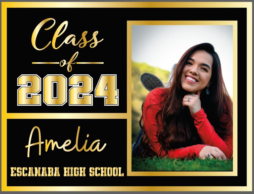 Class of 2024 Graduating Senior Yard Signs with Picture + School Logo