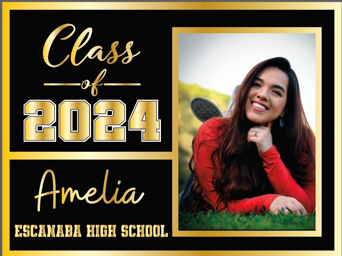 Class of 2024 Graduating Senior Yard Signs with Picture, Gold & Black, Silver & Black