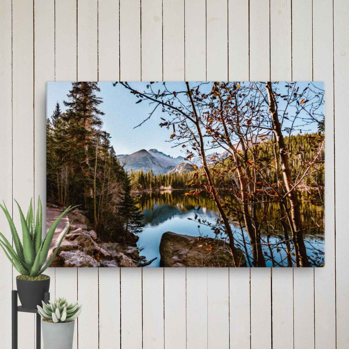 Rocky Mountain Bear Lake Colorado Canvas Wall Art Decor, Reflections, Serenity, Autumn Landscape, Nature Wall Art, Mountains Tree Scenery