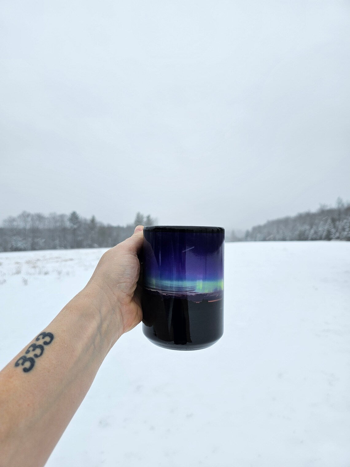 Northern Lights From Michigan - Black Glossy Mug