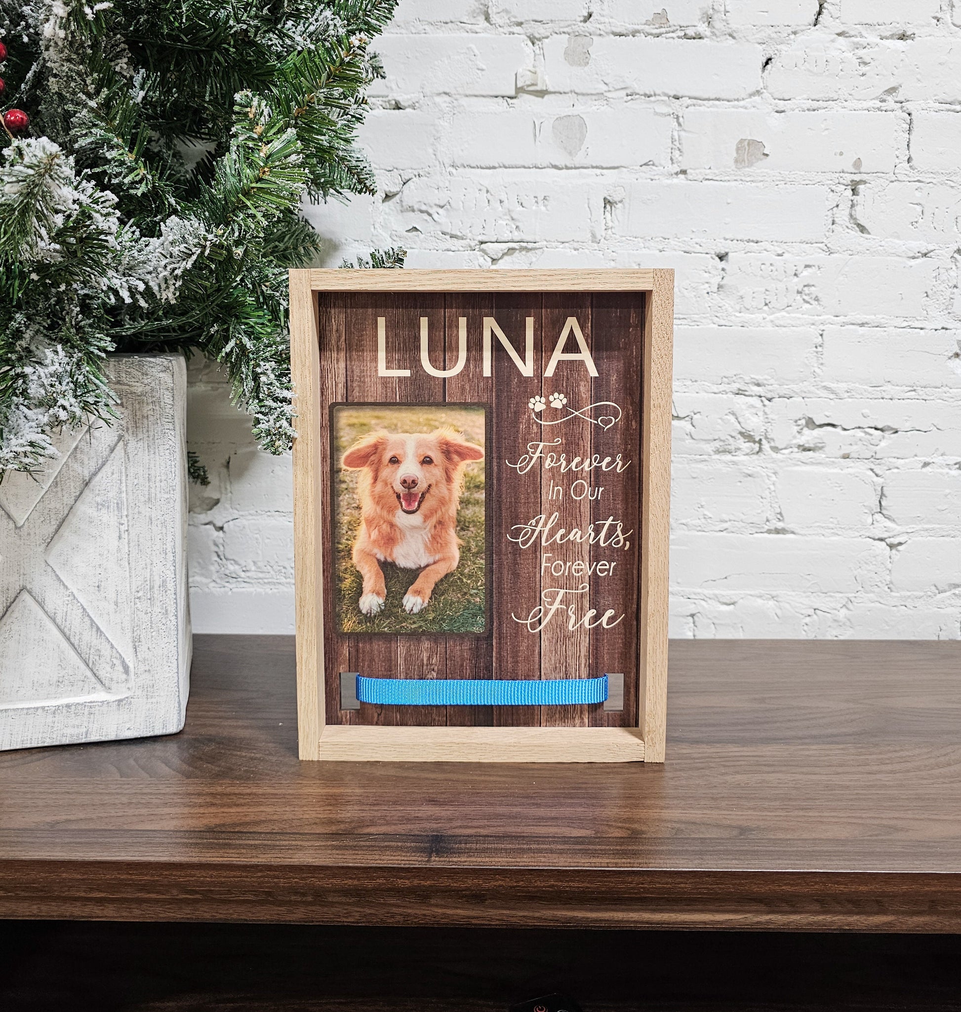 Custom Pet Loss Memorial Gift, Personalized with Name & Photo Wooden Sign with spot for Collar for Dogs, Cats, Keepsake Framed Wall Sign