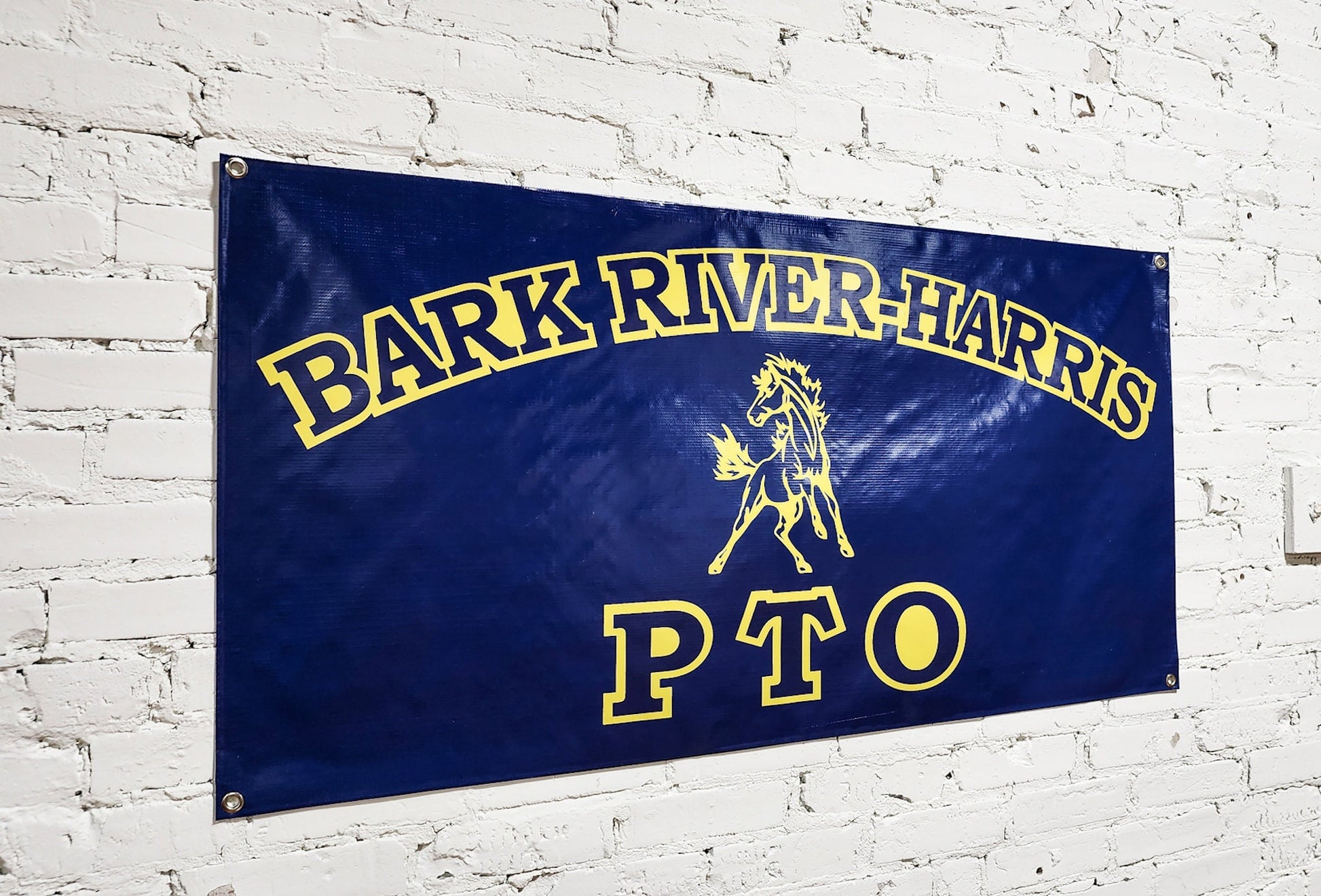 School Banner for PTO, sports events, dances, Or Personalized Custom Text, Logo, Political Campaigns, Ads, Full Color Indoor Outdoor Print
